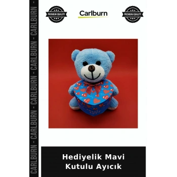 Özel Üretim Peluş Sevimli Hediyelik Mavi Kutulu Ayıcık