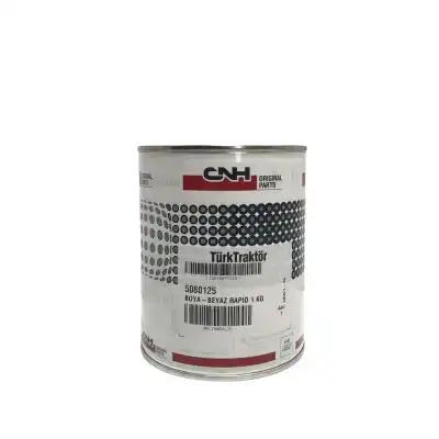 BOYA 1 KG BEYAZ RAPİD JANT BOYASI CNH
