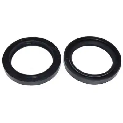 PRİZDİREK KEÇESİ 45x60x7 45560 SKT