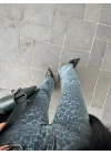 Mavi Leopar Ekstra Yüksekbel Palazzo Jean