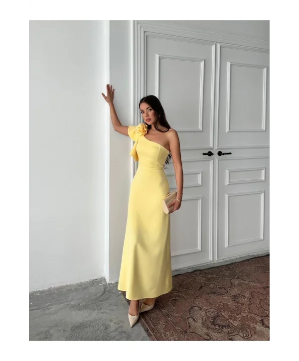 Kadın Tek Kol Elbise