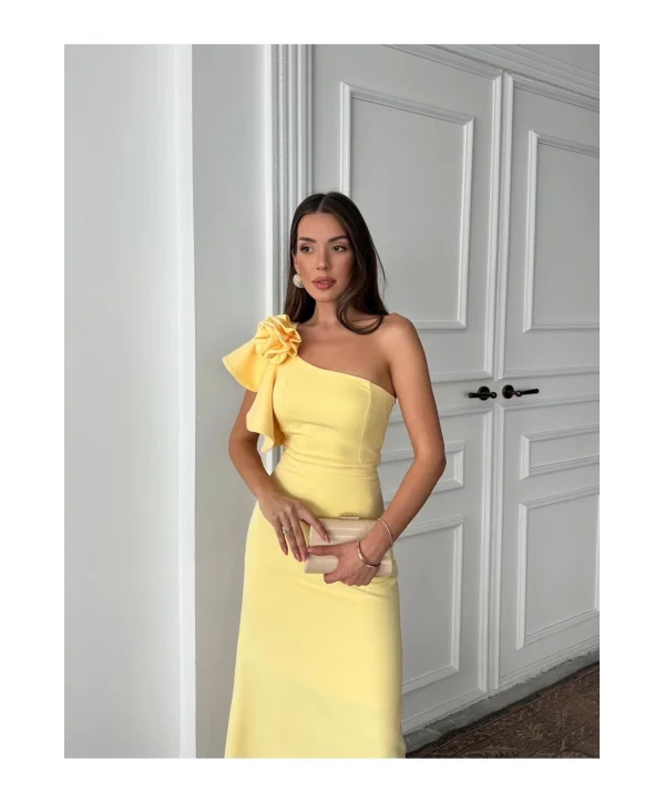 Kadın Tek Kol Elbise