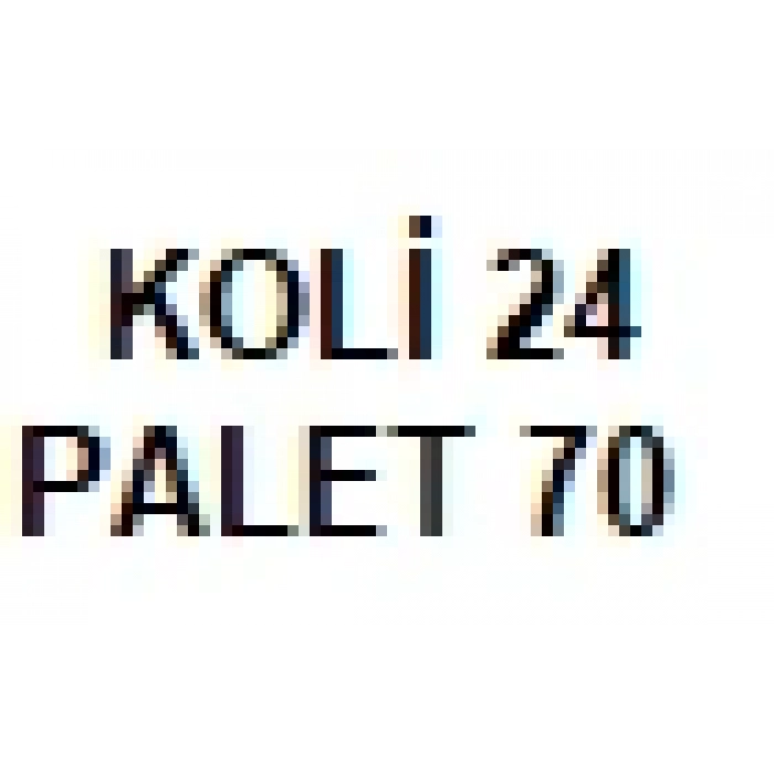 HEMA  NU CHEMICAL ( EKO ) FREN BALATA SPREY 500 ML