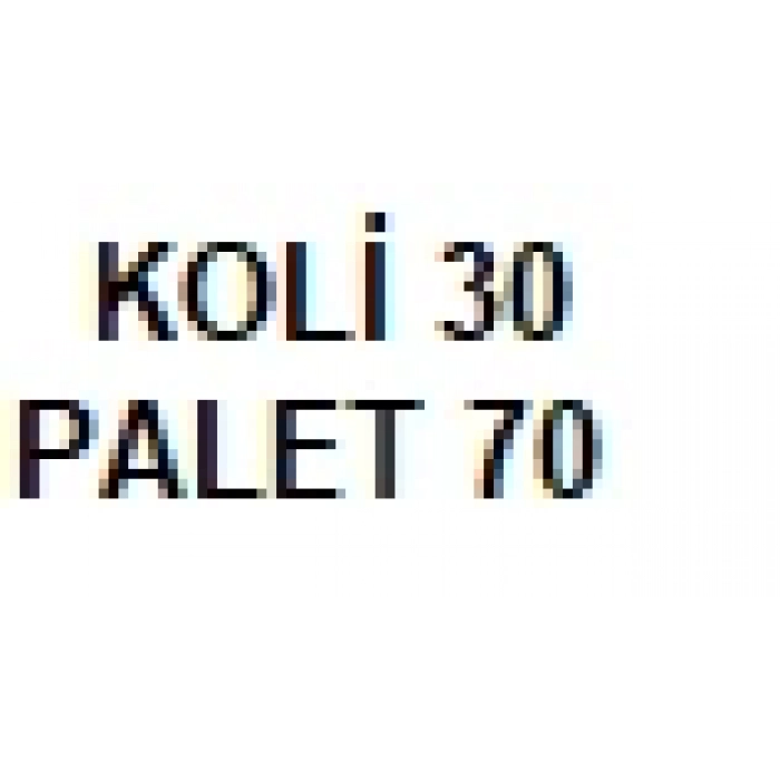 HEMA ZİNCİR YAĞLAYICI SPREY 400 ML