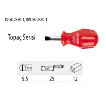 CETA TOREX TOPAÇ DÜZ UÇLU TORNAVİDA - 5.5 X 25 MM
