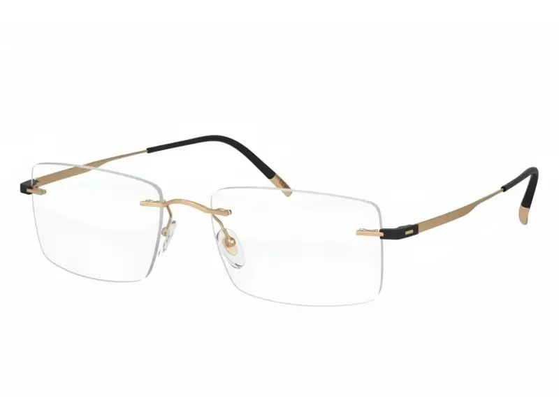 Silhouette 5516/DF 7530 54