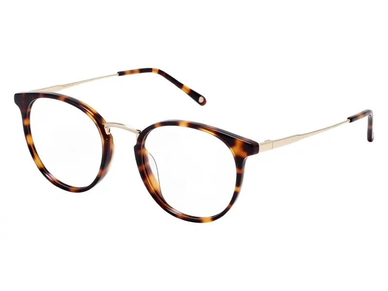 Alexander Wintsch AW661 C4