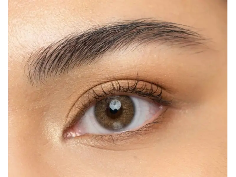 Aquarella Castanha Brown