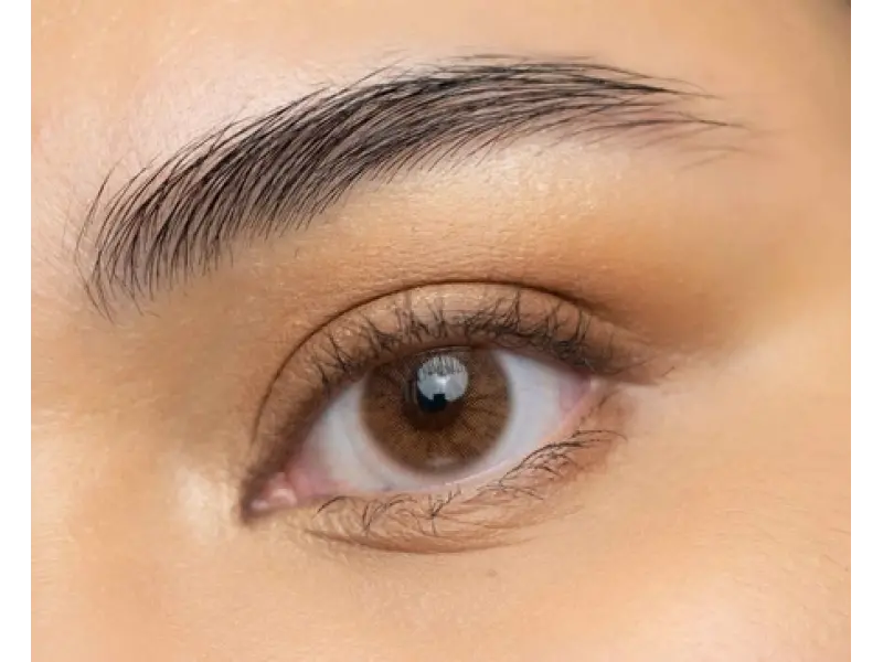 Aquarella Cocoa Brown