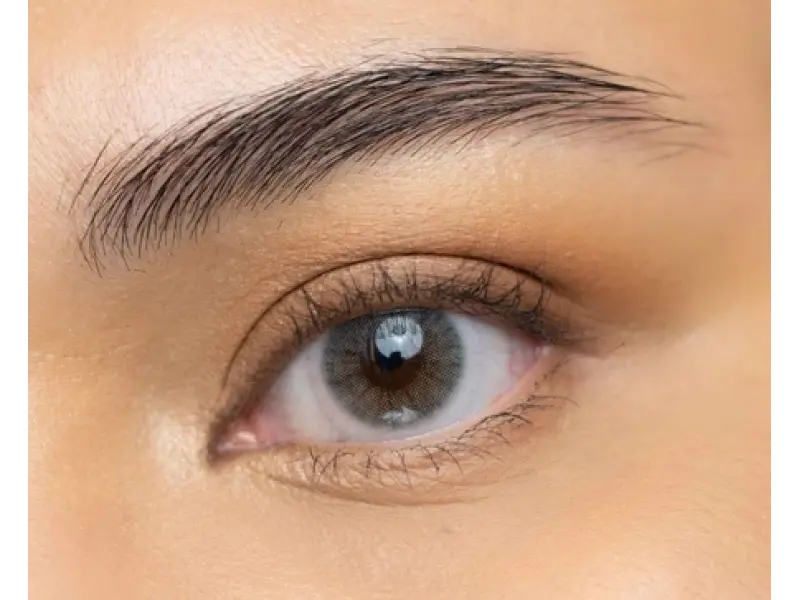 Aquarella Sepia Gray