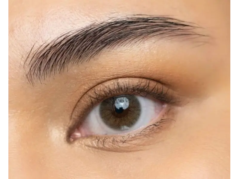 Aquarella Sienna Brown