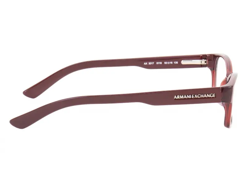 Armani Exchange AX 3017 8118 52