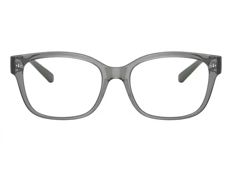 Armani Exchange AX 3098 8242 53