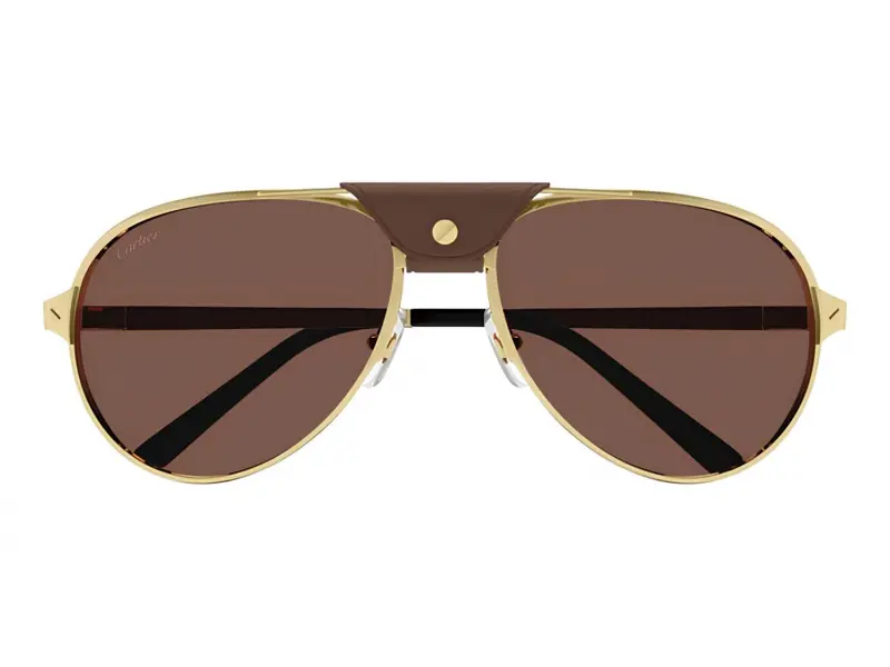 Cartier CT0034S 015