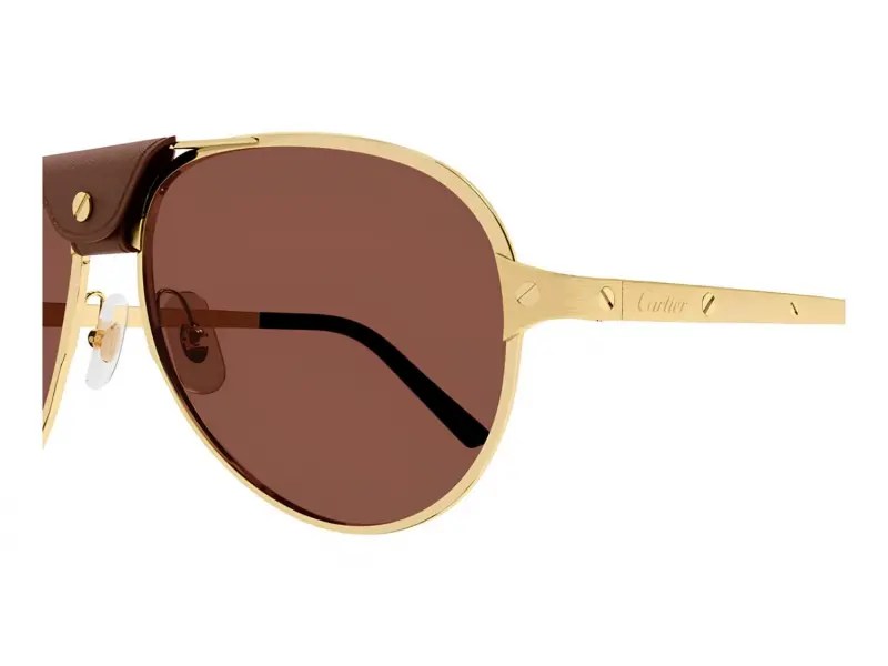 Cartier CT0034S 015