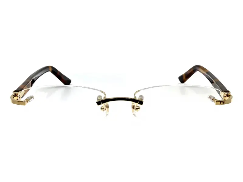 Cartier CT0048O 004 01 53