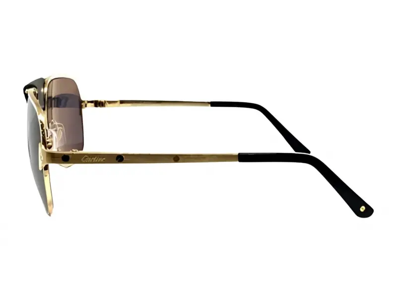 Cartier CT0165S 007 60