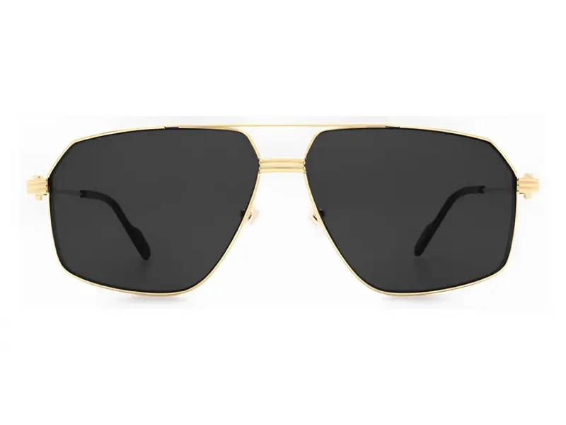 Cartier CT0270S 001