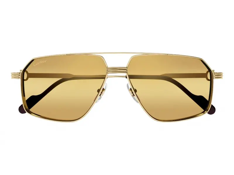 Cartier CT0270S 013