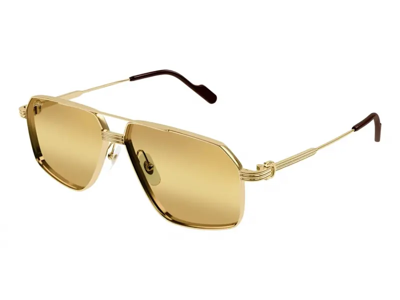 Cartier CT0270S 013