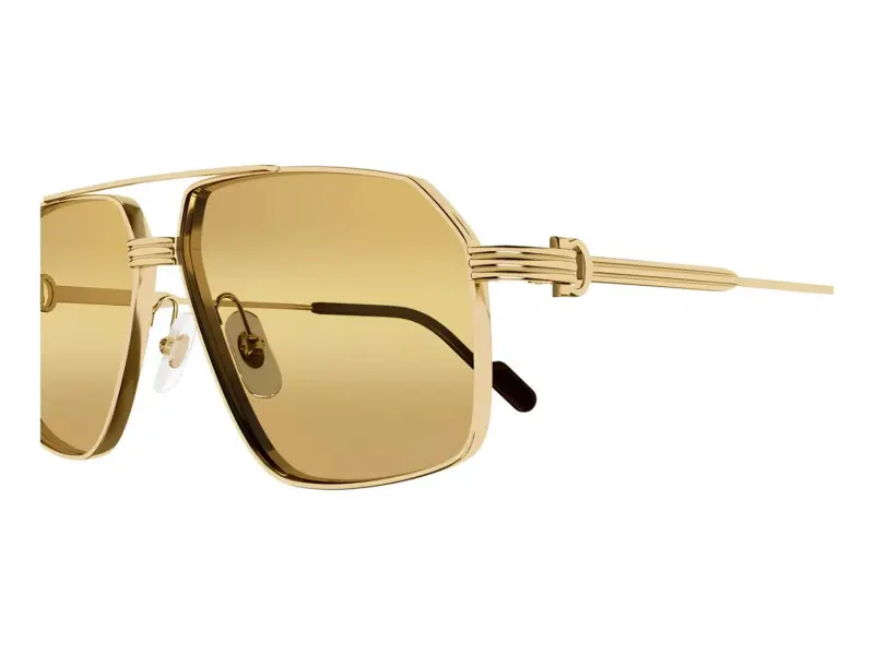 Cartier CT0270S 013