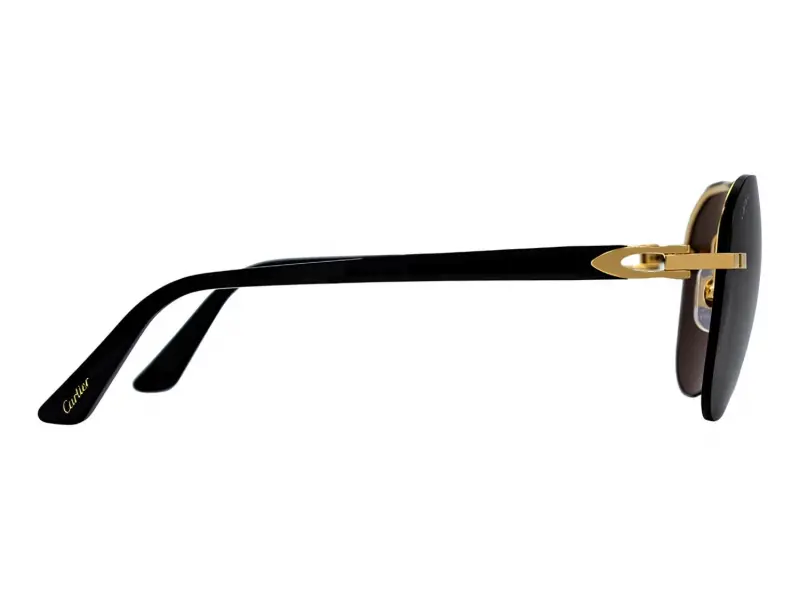Cartier CT0275S 001