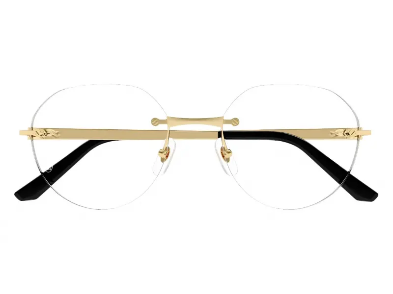 Cartier CT0408O 001 53 19