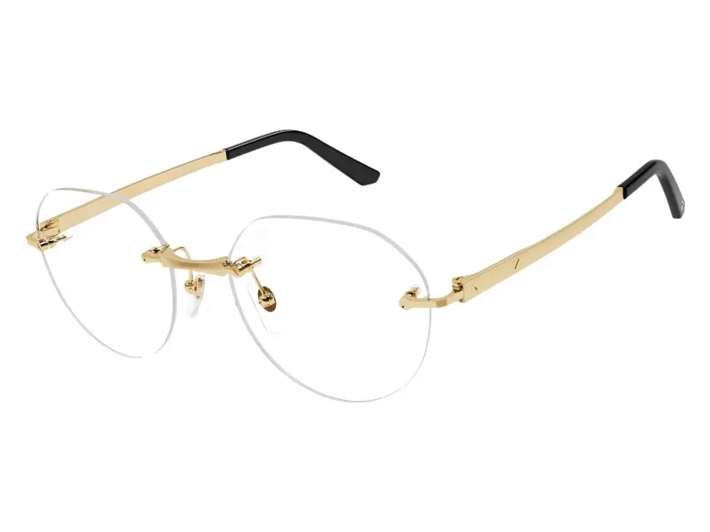 Cartier CT0408O 001 53 19