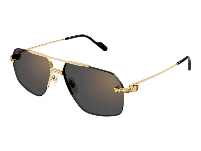 Cartier CT0426S 001