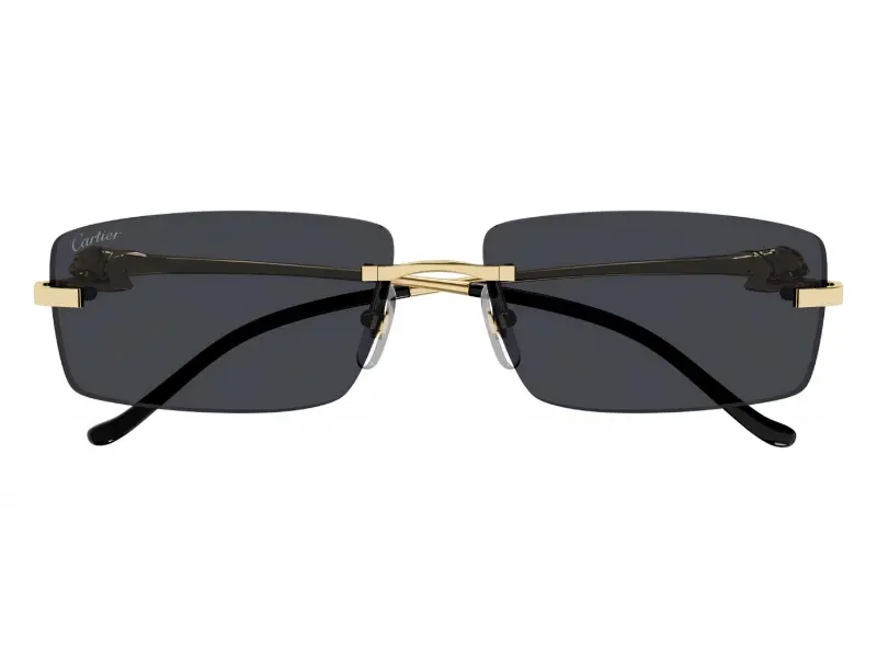Cartier CT0430S 001