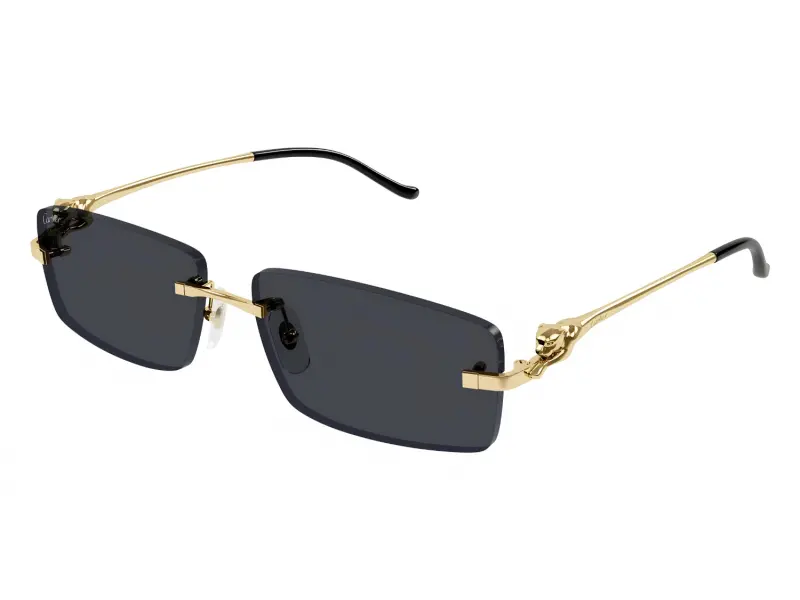 Cartier CT0430S 001