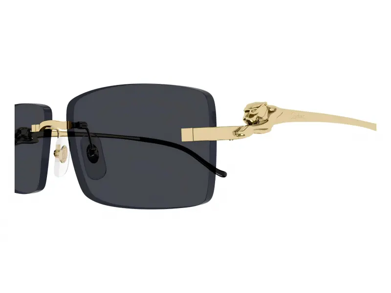Cartier CT0430S 001