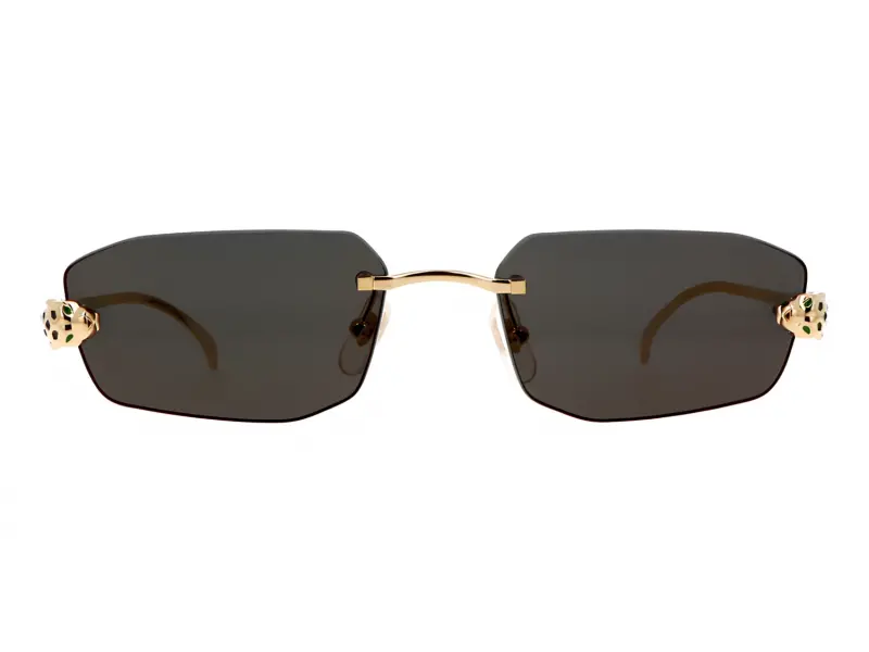 Cartier CT0474S 001