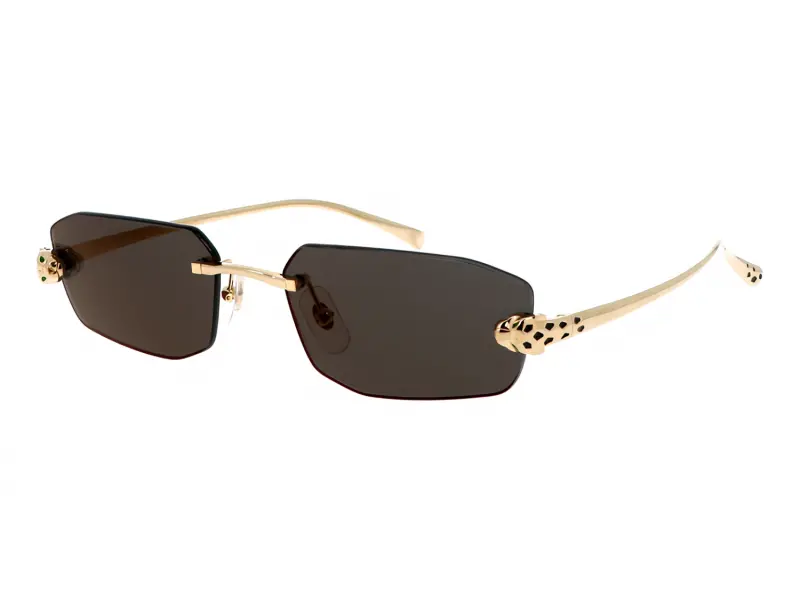 Cartier CT0474S 001