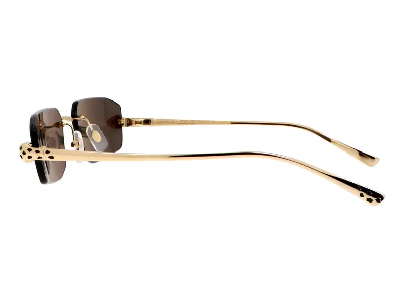 Cartier CT0474S 001