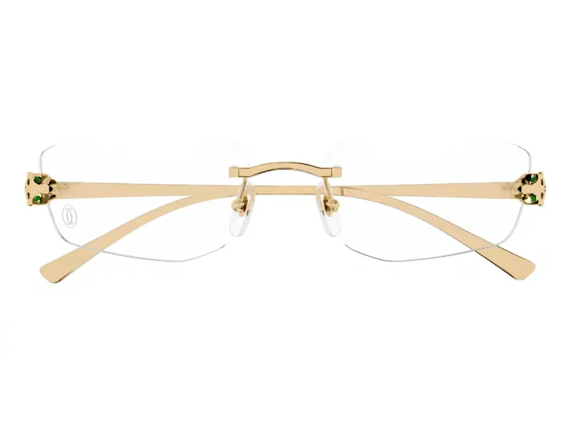 Cartier CT0494O 001 55 18