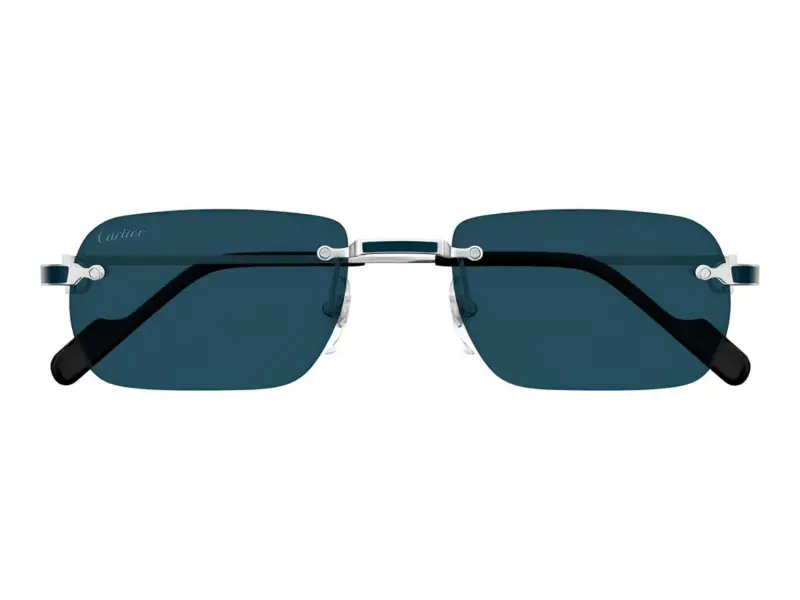 Cartier CT0498S 004