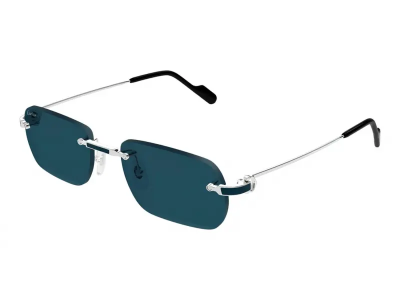 Cartier CT0498S 004