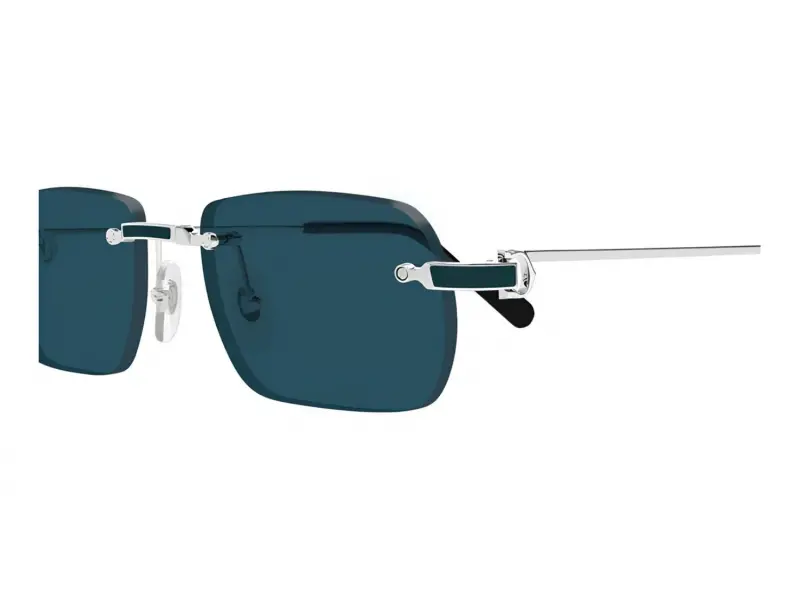 Cartier CT0498S 004