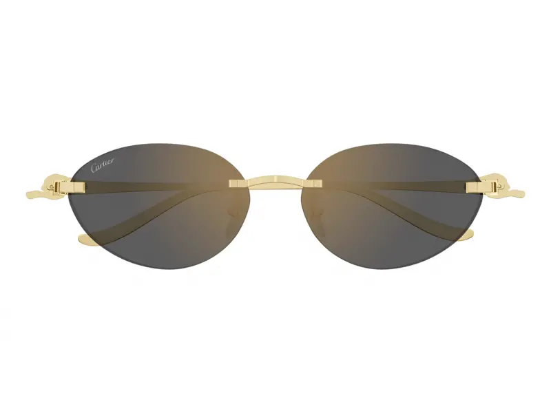 Cartier CT0504S 001