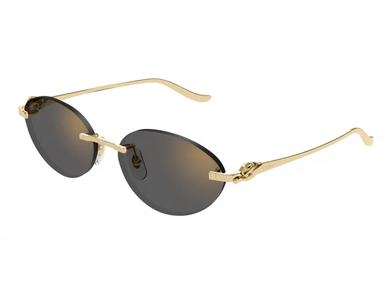 Cartier CT0504S 001
