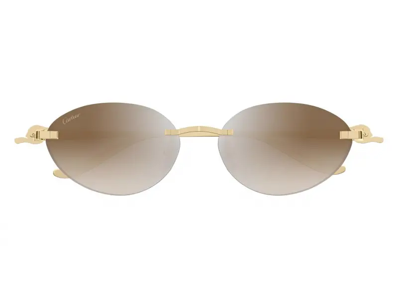 Cartier CT0504S 003