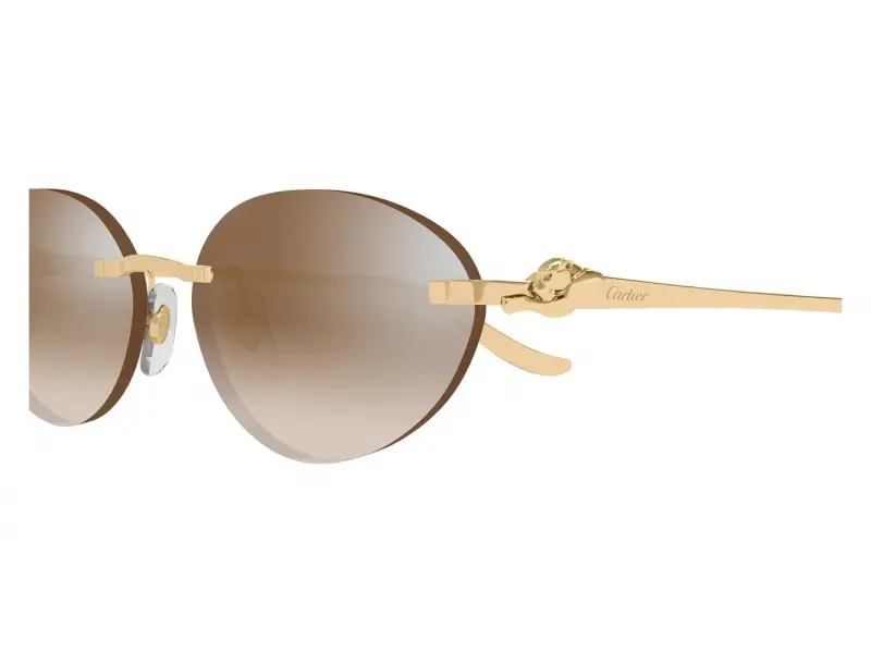 Cartier CT0504S 003