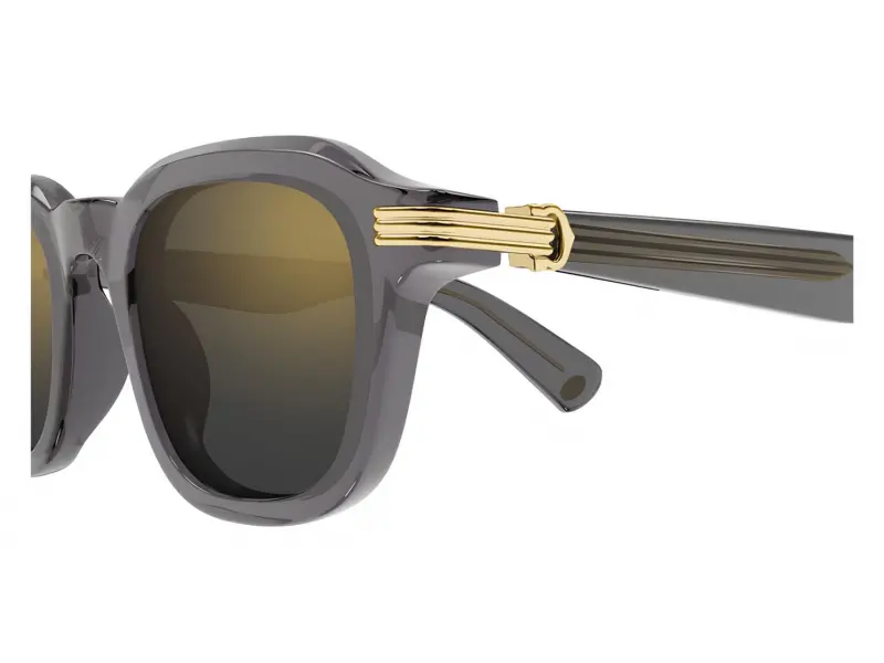Cartier CT0536S 003