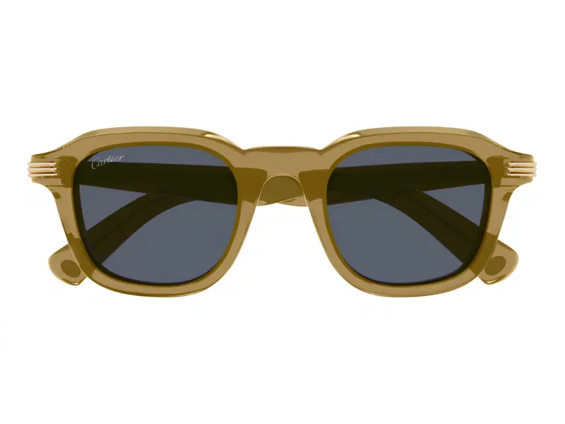 Cartier CT0536S 005