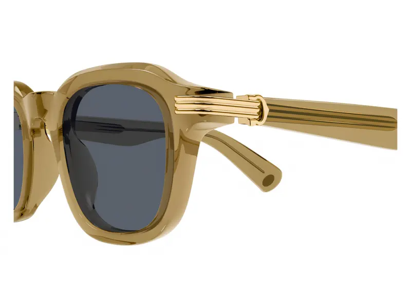 Cartier CT0536S 005