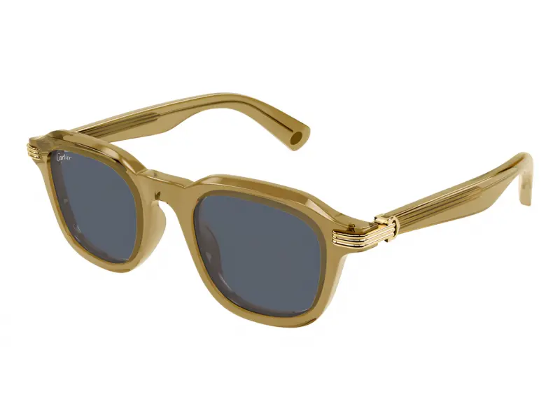Cartier CT0536S 005