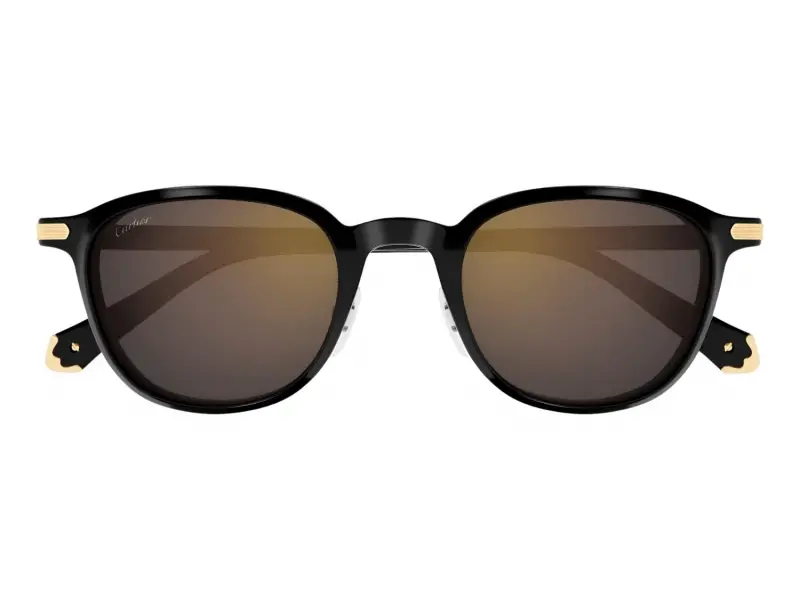 Cartier CT0541SA 005