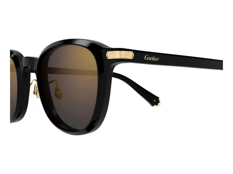 Cartier CT0541SA 005