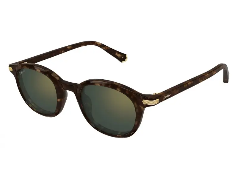 Cartier CT0541SA 006